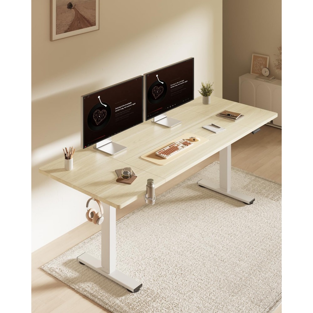 FLEXISPOT 63x32 inch elektrisc - Desk Setup Workspace recensie en prijs